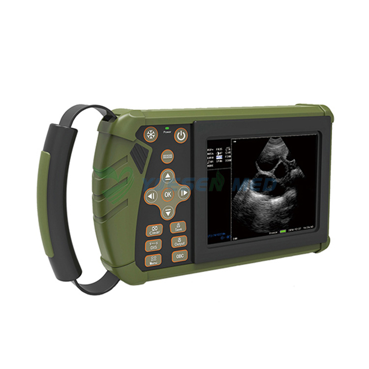 Handheld Veterinary Ultrasound Scanner