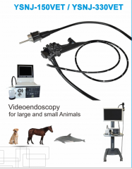 Endoscope vidéo gastroscope vétérinaire portable YSNJ-150VET