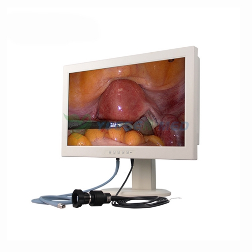 Sistema portátil de câmera endoscópica HD médica YSGW602