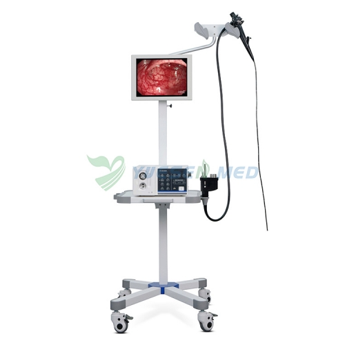 Système d&#39;endoscope vidéo vétérinaire YSENDO150V HD