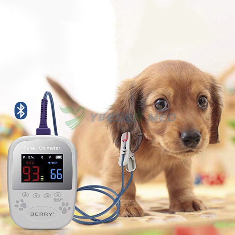 YSPO100V Veterinary Handheld Pulse Oximeter