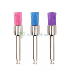 YSDEN-PB330C Dental Consumables Colourful Different Shape Dental Prophy Brush