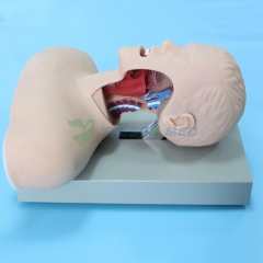 Electronic Airway Intubation Model(with Alarm Device) BIX-J51