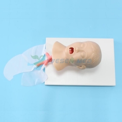 Advanced child trachea intubation model BIX-J4A