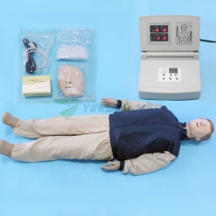 Advanced fully automatic electronic CPR manikin BIXCPR480