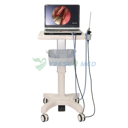 All-in-one Endoscope camera system YSNG-HD3