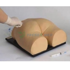 Silicone buttock injection model YSBIX-H2T