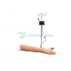 YSBIX-HS2 Advanced arm venipuncture and deltoid muscle injection model