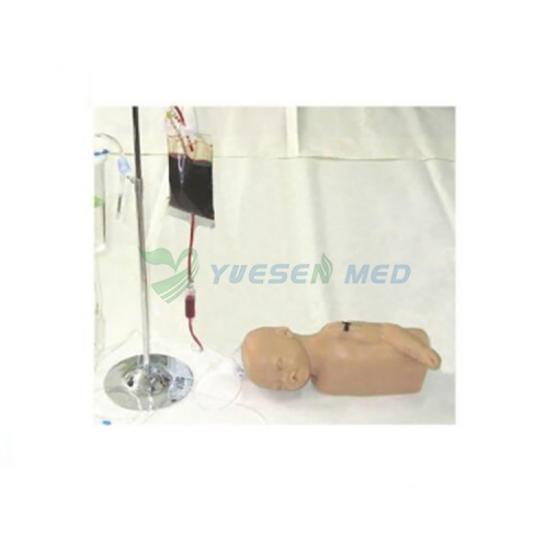 Infant head and arm venipuncture injection model YSBIX-HS6-2