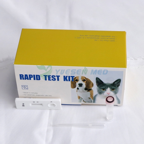 YSENMED Veterinary Rapid Test Strips C.Bru Ab Canine Brucella Antibody Rapid Test
