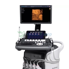 SonoScape P50 Elite Trolley 3D/4D Color Doppler Ultrasound Machine