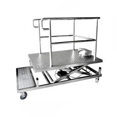 YSJPT-46B Movable photography table