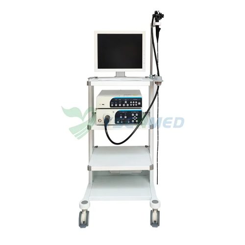 Video Endoscope System YSVME-200