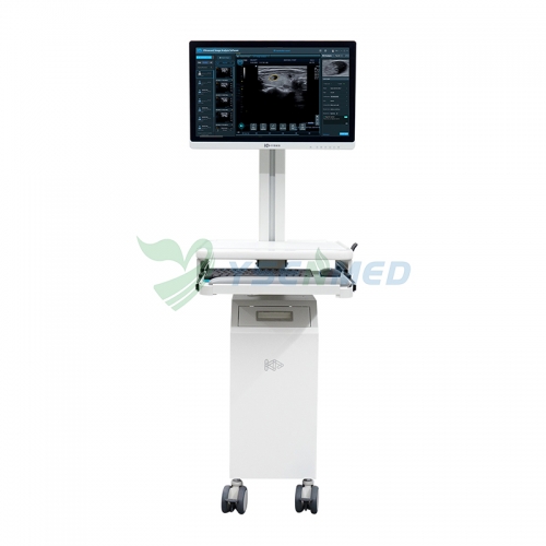 Sistema de análise de IA para imagens de ultrassom YSB-IAS01 YSENMED