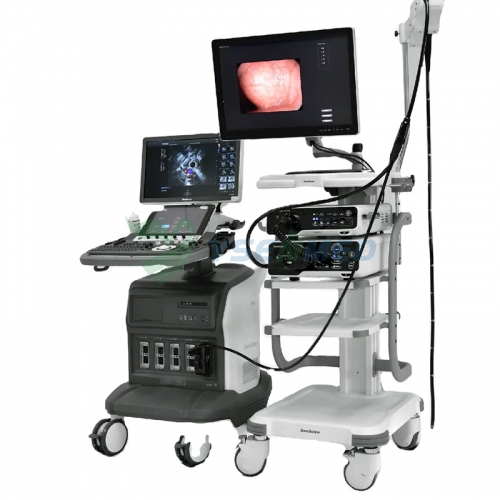 Радиальная эхоэндоскопия Sonoscape EG-UR5