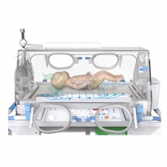 Incubadora de transporte de neonato YSBT-210B