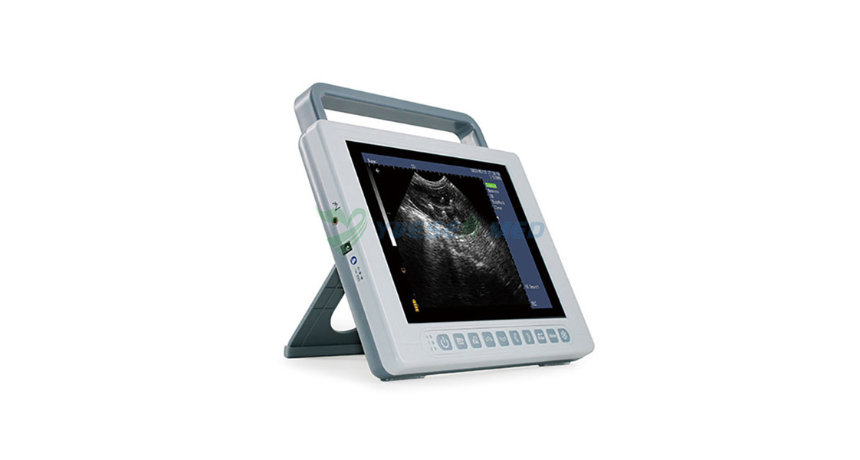 A video introduction to YSENMED YSB-K10V PAD scanner for veterinary use