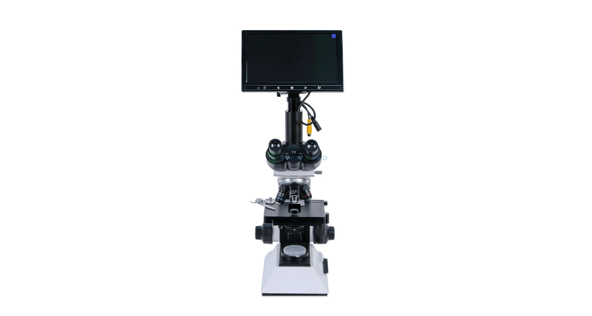 Zoom sur l'invisible : aventures avec un microscope électronique de clinique de laboratoire