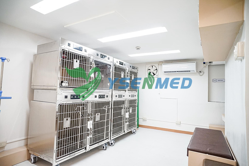Vet from Philippines content with YSENEMD veterinary supplies