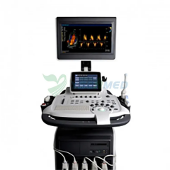 4D color doppler ultrasound scanner price SonoScape S40