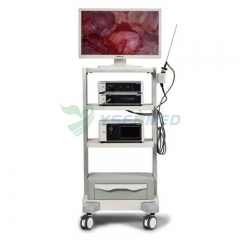 YSVME-200A Medical Endoscope System