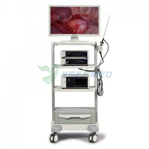 Sistema de endoscópio médico YSVME-200A