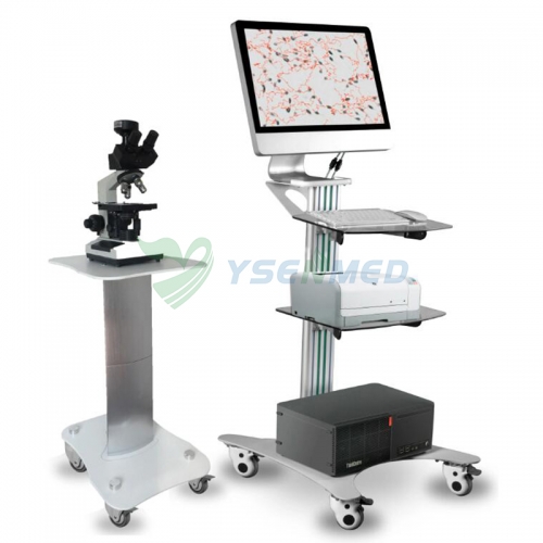 Analisador de qualidade de esperma YSTE-SW3702