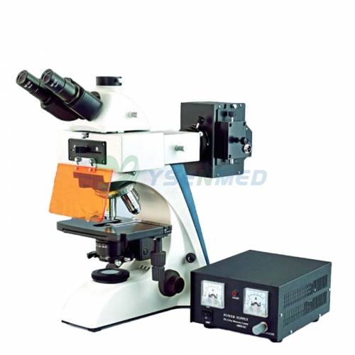 Microscópio de fluorescência vertical YSXWJ-FL2 com lâmpada de fluorescência