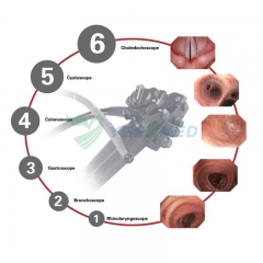 Système d'endoscope médical YSVME-2900H