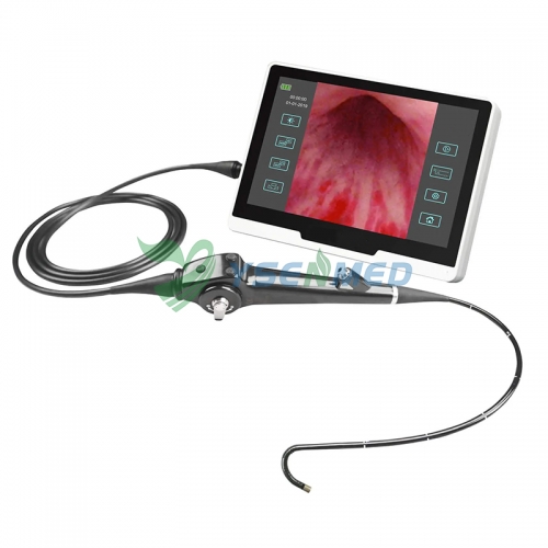 Video Cystonephroscope YSNJ-CY1356