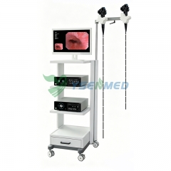 Electronic Flexible Endoscope System YSVME-400A