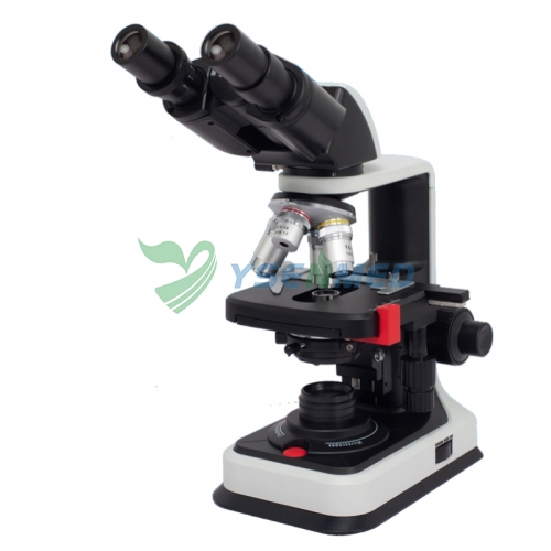 Microscopio biológico binocular para laboratorio médico YSXWJ-BX102B