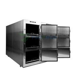 6 جثث ثلاجة الجنائز YSSTG0106