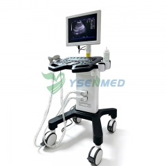 Instrumento de diagnóstico ultrasónico totalmente digital YSB-750