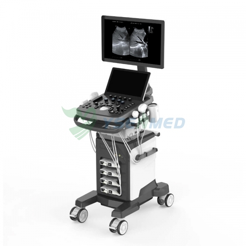 جهاز الموجات فوق الصوتية دوبلر الملون المحمول البيطري YSB-VIV40 VET