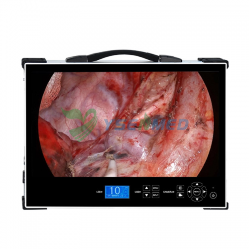 Système d'endoscope médical portable HD1080P YSNJ-HD370