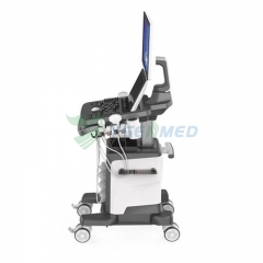 جهاز الموجات فوق الصوتية دوبلر الملون المحمول البيطري YSB-VIV40 VET
