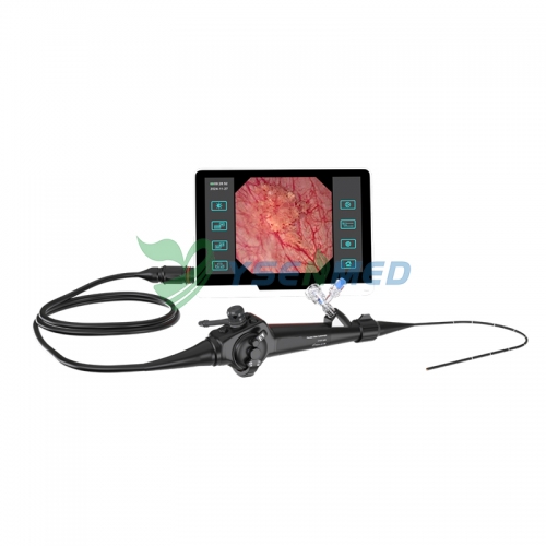 Videocistoscopio flexible YSNJ-CY-E11