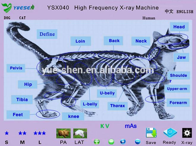  portable veterinary x-ray machine image
