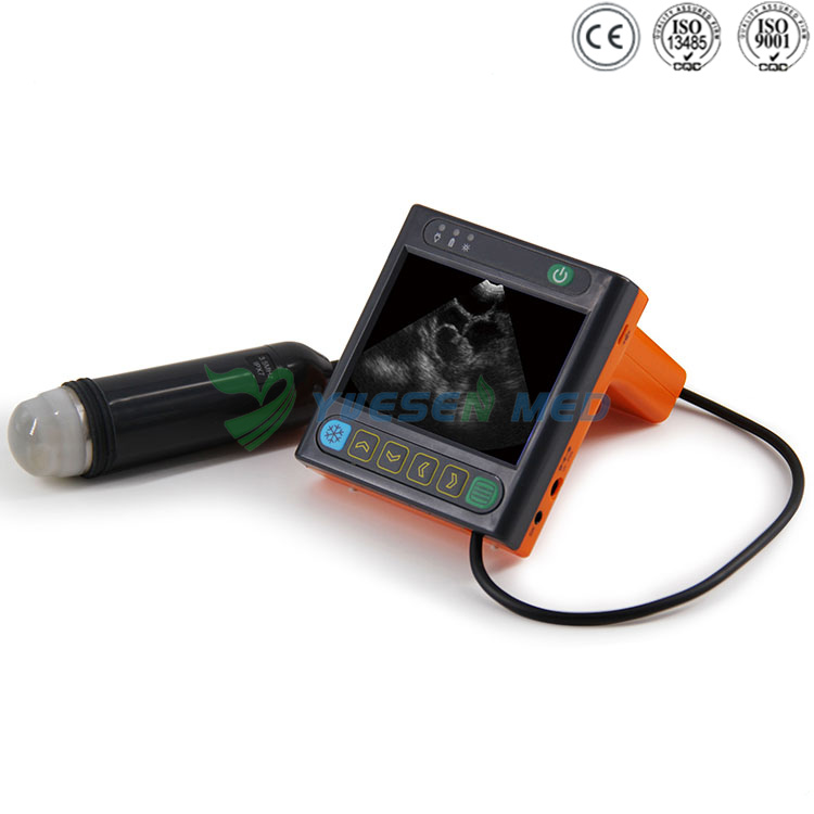 Digital Veterinary Mechanical Sector Ultrasonic Diagnostic Instrument YSB-U3V