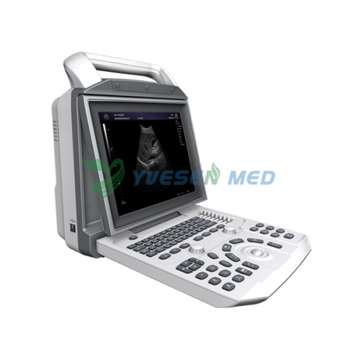 Portable B/W Ultrasound Scanner YSB-i50