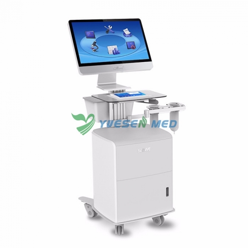 Male Sexual Dysfunction Therapeutic Apparatus YSSW3503
