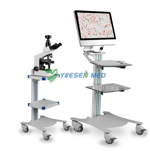 Analyseur de qualité du sperme YSSW3703