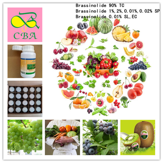 Qu'est-ce que le brassinolide? Comment utiliser le brassinolide?