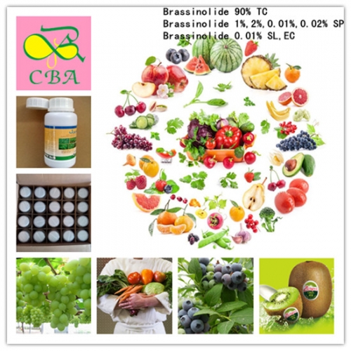 Régulateur naturel d'hormone de croissance des plantes Brassinosteroïdes Brassinolide Homobrassinolide | 24-Epi brassinolide | 28-Homo brassinolide