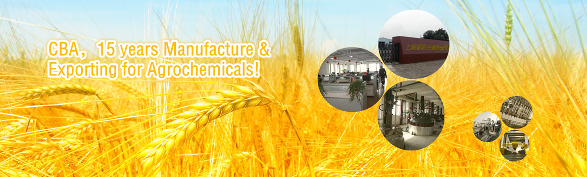 CBA is one of the top 30 agrochemicals suppliers all over China，our mainly products covers the Insecticides, Herbicides, Fungicides, Plant growth regulators, Rodenticides and Organic fertilizers.