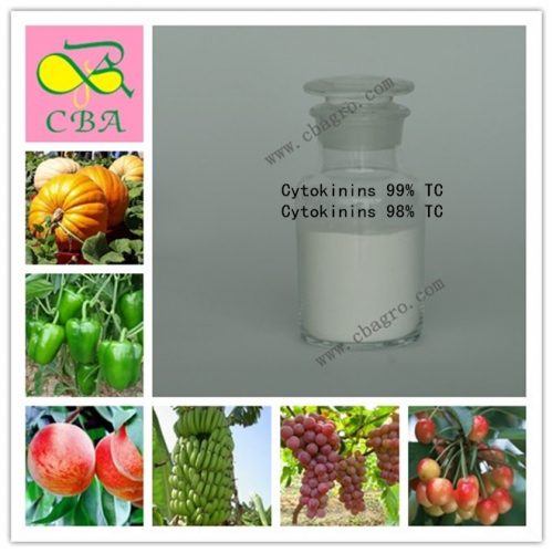 Advance Fertilizer 6-Furfurylaminopurine Cytokinin Kinetin 98%TC 6KT