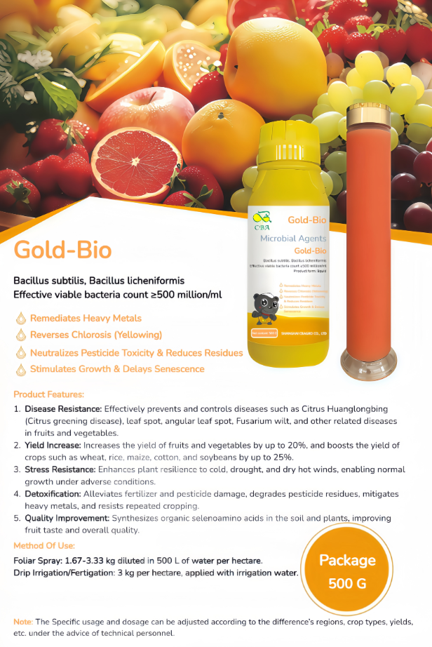 Gold-Bio biological bacterial fertilizers:  Bacillus subtilis, Bacillus licheniformis, Effective viable bacteria count ≥500 million/ml  ☆ Remediates Heavy Metals ☆ Improve yellow leaves ☆ Neutralizes Pesticide Toxicity & Reduces  ☆ Residues Stimulate Growth & Delays Senescence