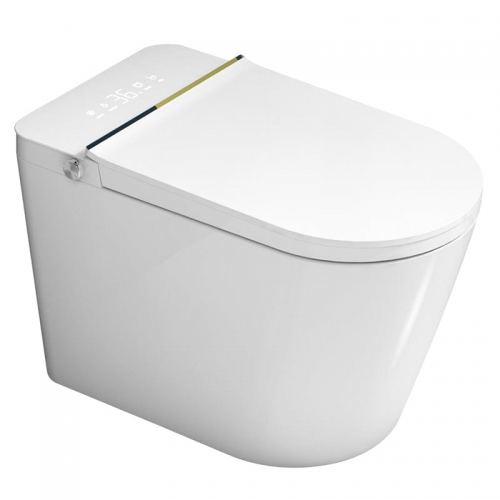 Smart Bidet Toilet, One Piece Toilet with Auto Dual Flush, LED Nightlight, Heated Seat, Warm Water and Dry