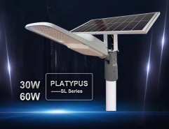 GINLITE All-in-two Integrated Solar Street Lamp